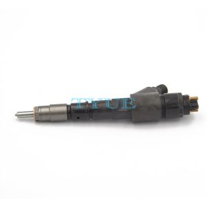 Hot Sale High Quality Common Rail Fuel Injector 6110701487