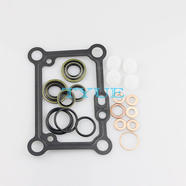 Diesel Fuel Engine Pump Repair Kits F01M101454  Gasket Kits CP1