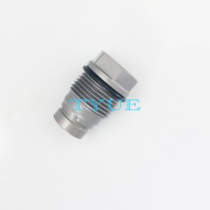 Engine Parts Pressure Release Valve  Relief Valve 1110010009 1110010010 1110010011 1110010012 1110010013 1110010014